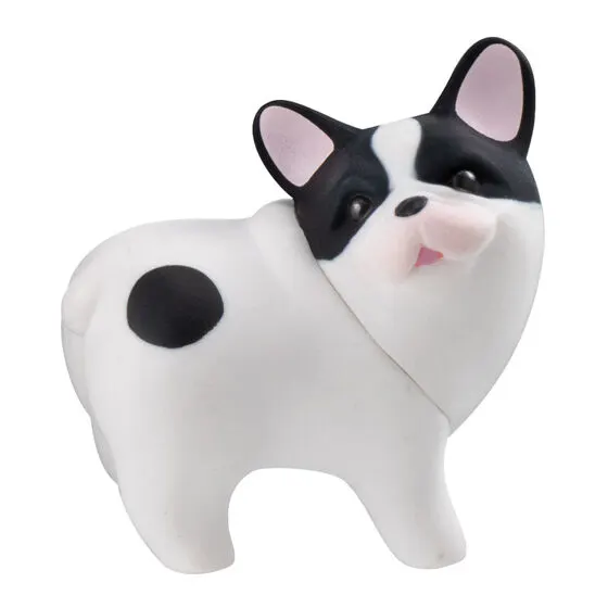 おしりを見せてくれる犬の種類 1
