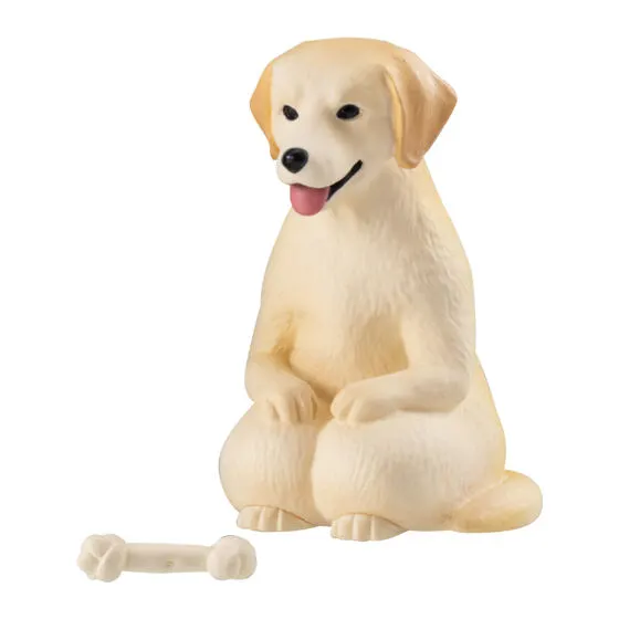 まてぼうけ 犬4の種類 1
