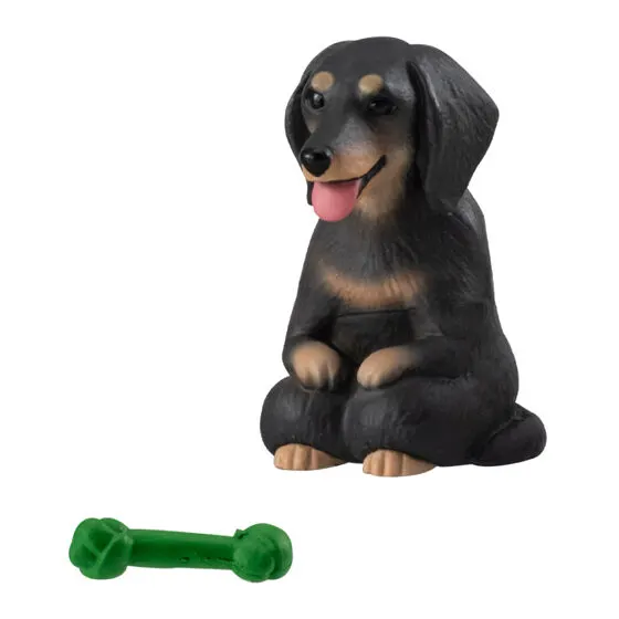 まてぼうけ 犬4の種類 4