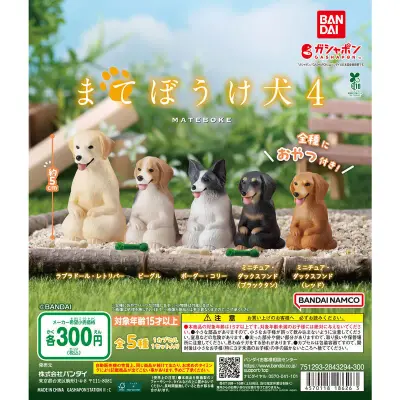 まてぼうけ 犬4の台紙
