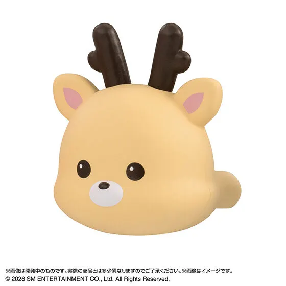 RIIZE ぷくっとリングの種類 3