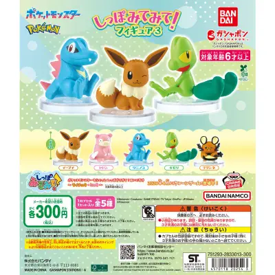 ポケットモンスター しっぽみてみて！フィギュア3の台紙