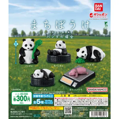 まちぼうけ パンダの場合の台紙
