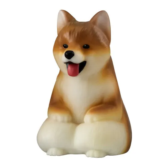 大きな光るまてぼうけ 犬の種類 2