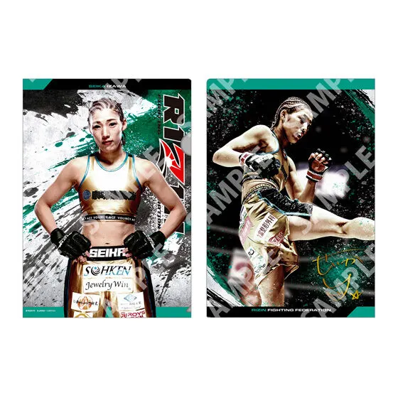 【フラットガシャポン】RIZIN クリアファイルコレクションの種類 10