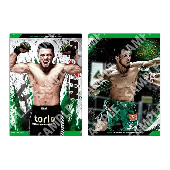 【フラットガシャポン】RIZIN クリアファイルコレクションの種類 5