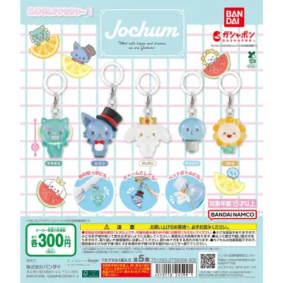 JOCHUM めじるしアクセサリー1の台紙