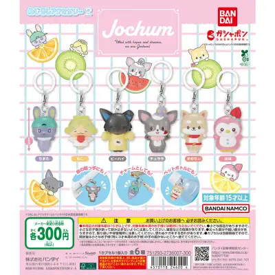 JOCHUM めじるしアクセサリー2の台紙