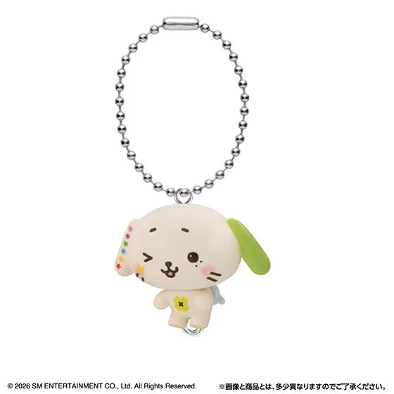 NCT WISH つまんでつなげてますこっとの種類 9