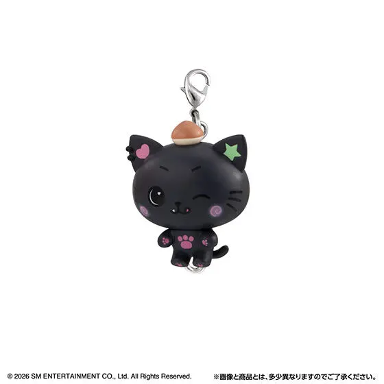 NCT WISH つまんでつなげてますこっとの種類 4