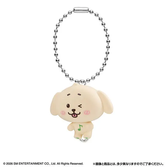 NCT WISH つまんでつなげてますこっとの種類 7