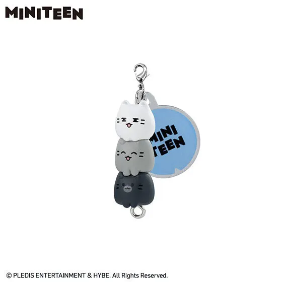 MINITEEN つまんでつなげてますこっと でらっくす！01の種類 11
