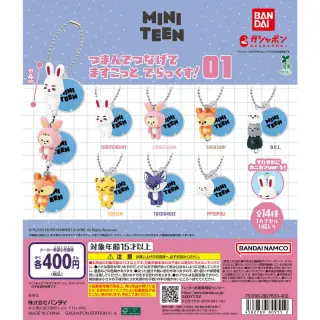MINITEEN つまんでつなげてますこっと でらっくす！01の台紙