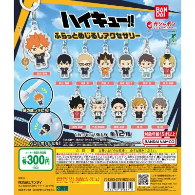 ハイキュー!! ふらっとめじるしアクセサリーの台紙