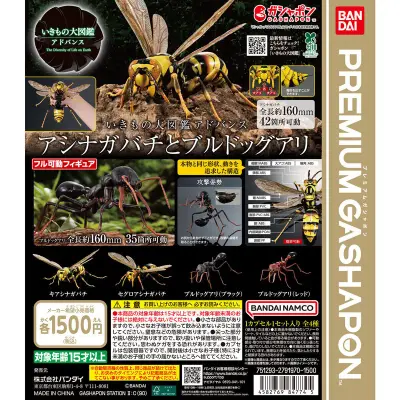 いきもの大図鑑アドバンス アシナガバチとブルドックアリの台紙
