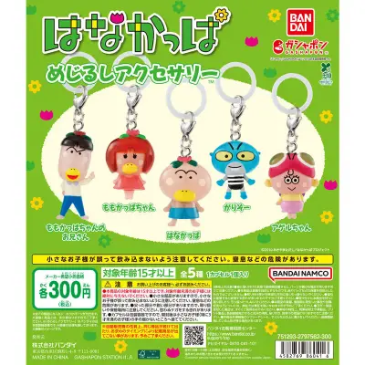 はなかっぱ めじるしアクセサリーの台紙