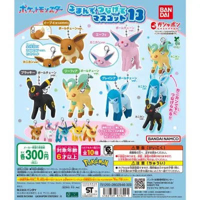 ポケットモンスター つまんでつなげてマスコット13の台紙
