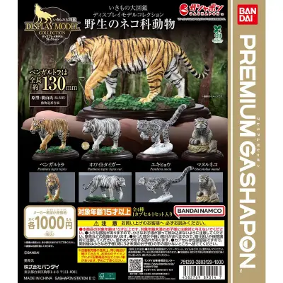 いきもの大図鑑ディスプレイモデルコレクション 野生のネコ科動物の台紙