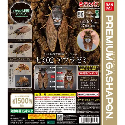 いきもの大図鑑アドバンス セミ02 アブラゼミの台紙