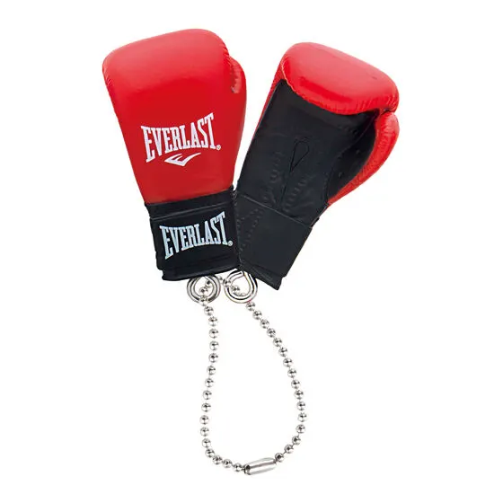 EVERLAST ボクシンググローブコレクションの種類 1