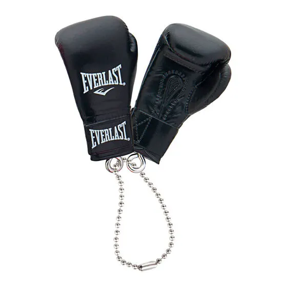EVERLAST ボクシンググローブコレクションの種類 2