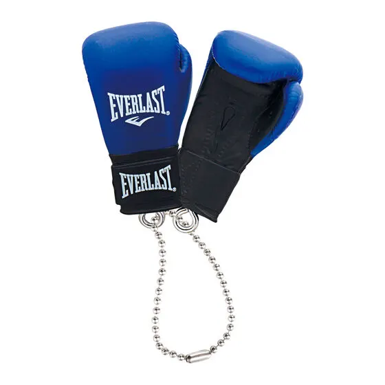 EVERLAST ボクシンググローブコレクションの種類 3