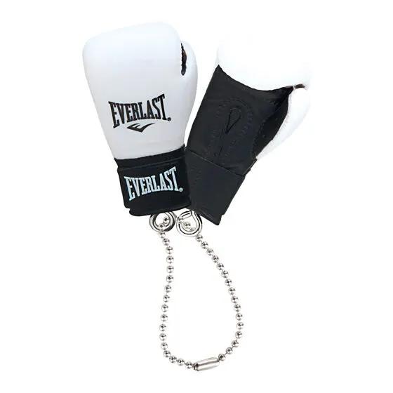 EVERLAST ボクシンググローブコレクションの種類 5