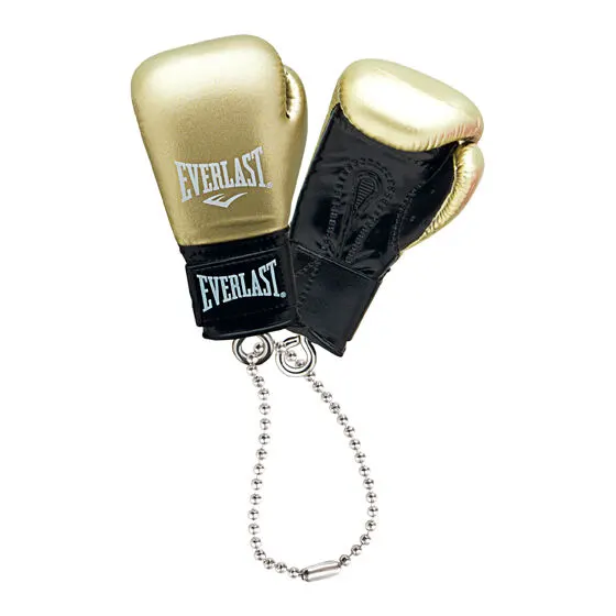 EVERLAST ボクシンググローブコレクションの種類 6