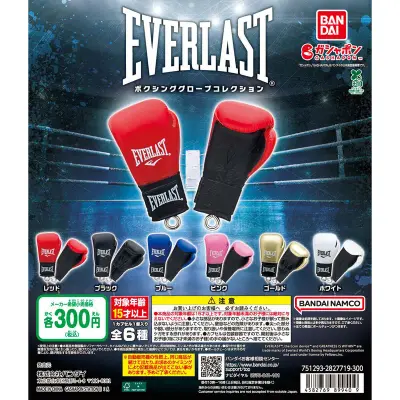 EVERLAST ボクシンググローブコレクションの台紙