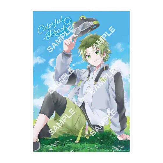 【ジャンボカードダス/フラットガシャポン】カラフルピーチ クリアポスター3の種類 5