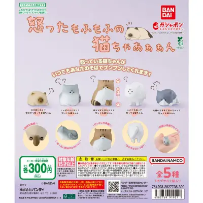 怒ったもふもふの猫ちゃあぁぁんの台紙