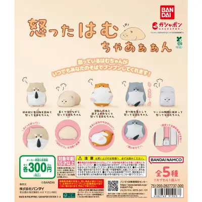 怒ったはむちゃあぁぁんの台紙