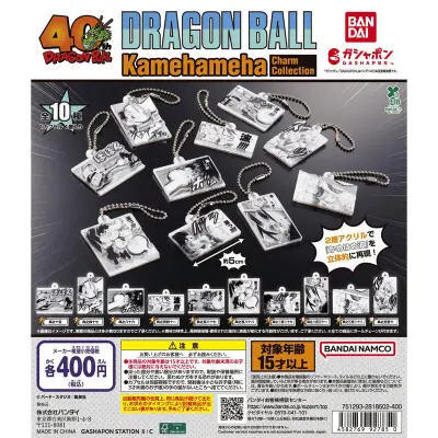 DRAGON BALL Kamehameha Charm Collectionの台紙
