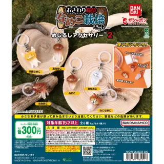 なめこ栽培キット めじるしアクセサリー2の台紙