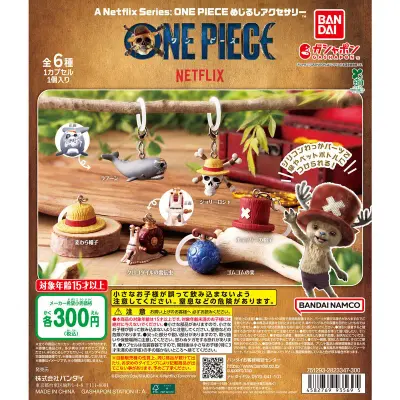 A Netflix Series: ONE PIECE めじるしアクセサリーの台紙