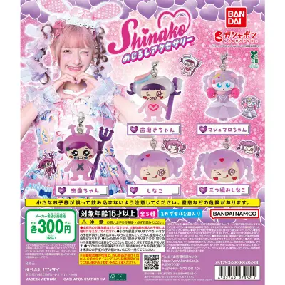 しなこ めじるしアクセサリーの台紙