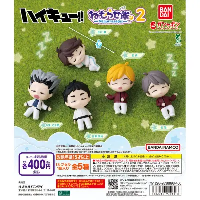 ハイキュー!! ねむらせ隊2の台紙