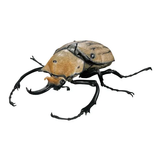 いきもの大図鑑アドバンス カブトムシ04の種類 1