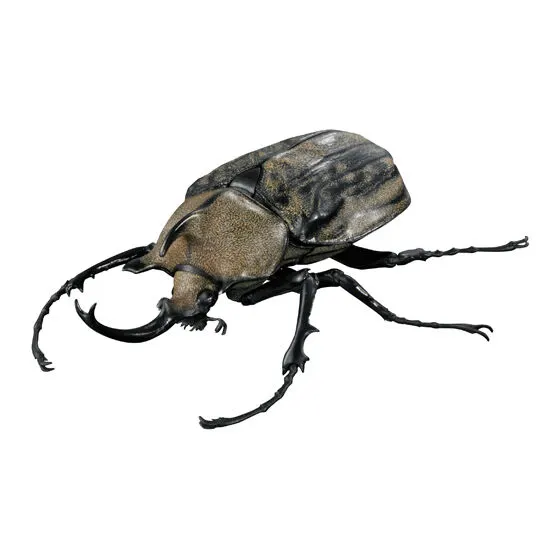 いきもの大図鑑アドバンス カブトムシ04の種類 2