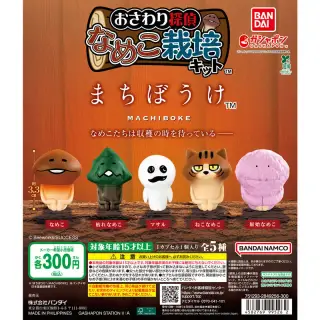 なめこ栽培キット まちぼうけの台紙