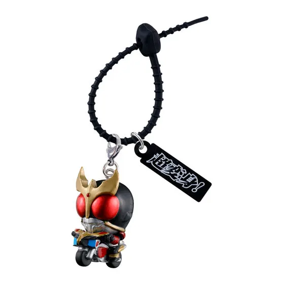 仮面ライダー カラフルマルチチャームの種類 1