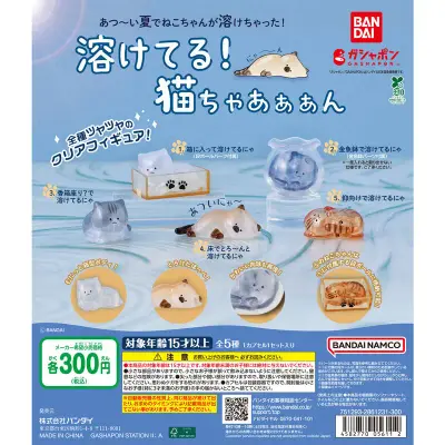 溶けてる！猫ちゃあぁぁんの台紙