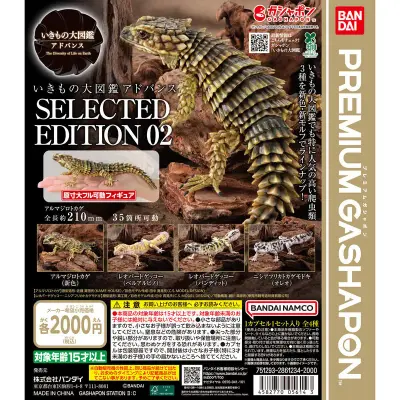 いきもの大図鑑アドバンス SELECTED EDITION 02の台紙