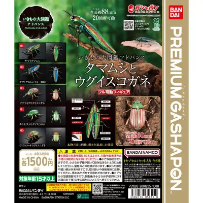 いきもの大図鑑アドバンス タマムシとウグイスコガネの台紙
