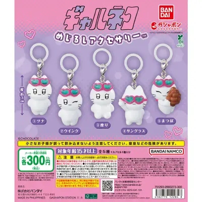 ギャルネコ めじるしアクセサリーの台紙